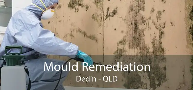Mould Remediation Dedin - QLD