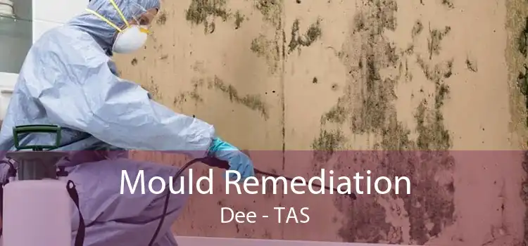 Mould Remediation Dee - TAS