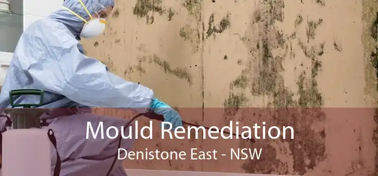 Mould Remediation Denistone East - NSW