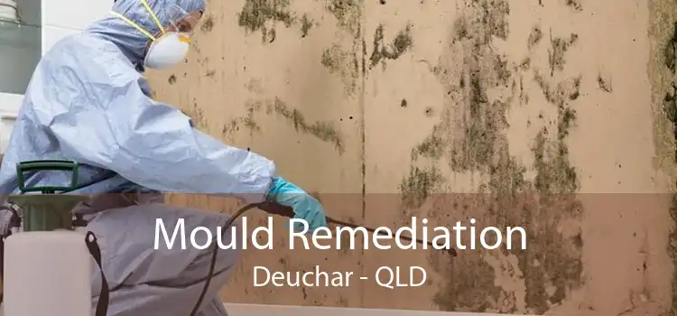 Mould Remediation Deuchar - QLD