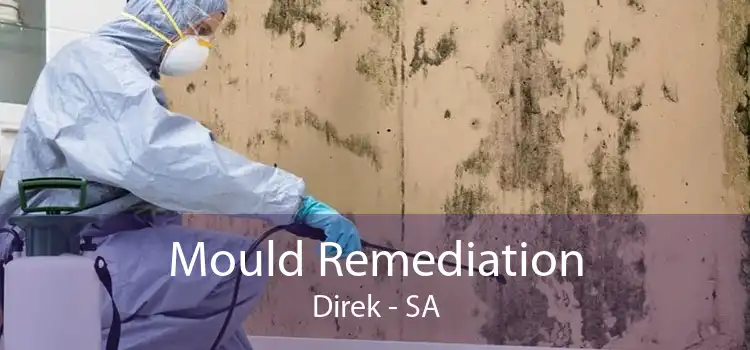 Mould Remediation Direk - SA