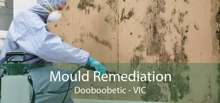 Mould Remediation Dooboobetic - VIC