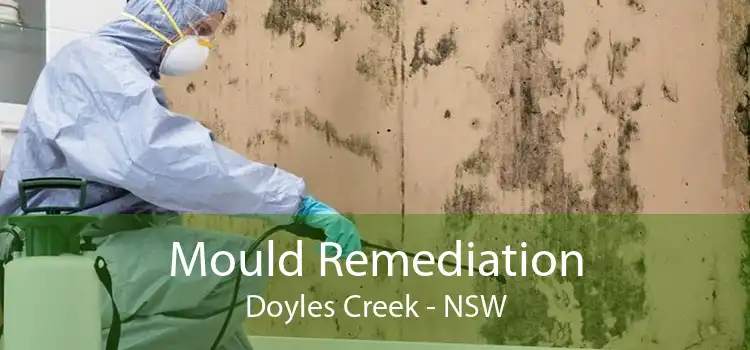 Mould Remediation Doyles Creek - NSW