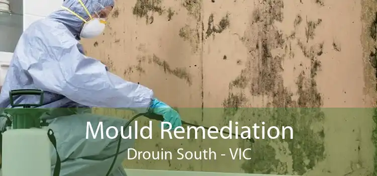 Mould Remediation Drouin South - VIC