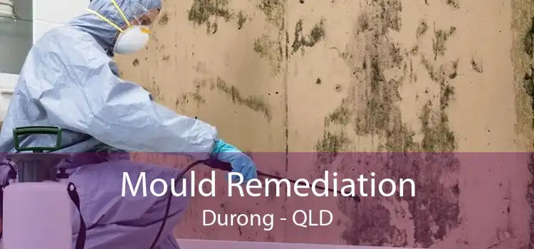 Mould Remediation Durong - QLD