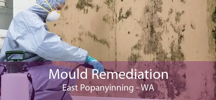 Mould Remediation East Popanyinning - WA