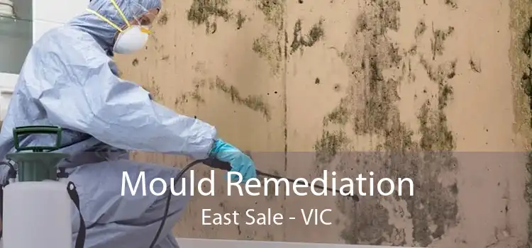 Mould Remediation East Sale - VIC