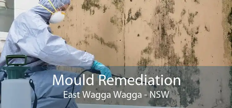 Mould Remediation East Wagga Wagga - NSW