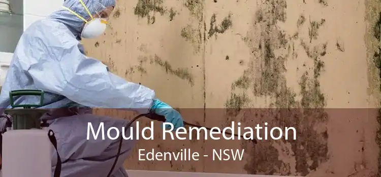 Mould Remediation Edenville - NSW