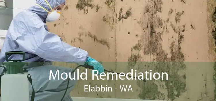 Mould Remediation Elabbin - WA