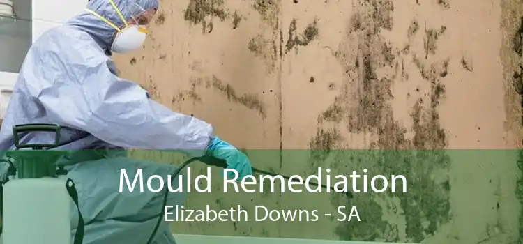 Mould Remediation Elizabeth Downs - SA