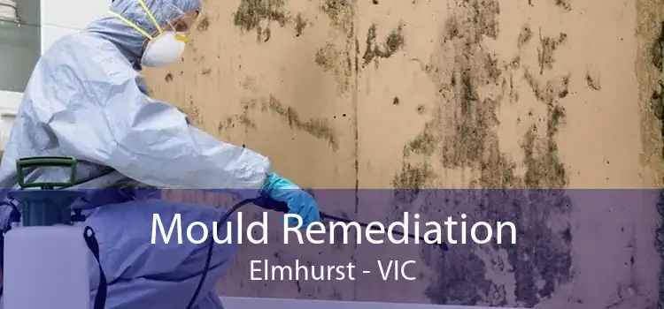 Mould Remediation Elmhurst - VIC