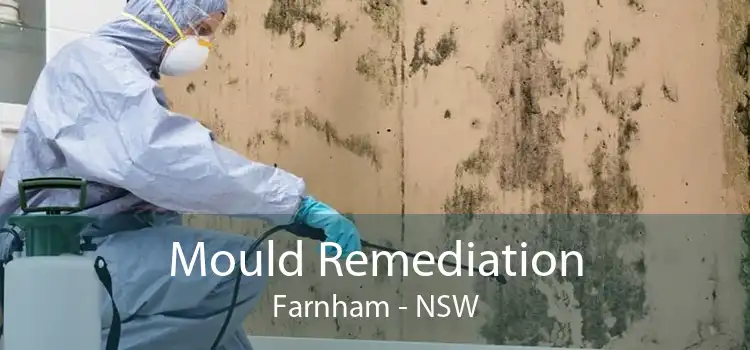 Mould Remediation Farnham - NSW
