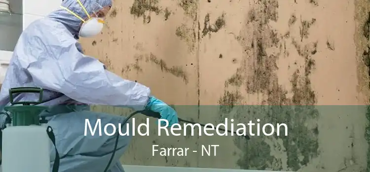 Mould Remediation Farrar - NT