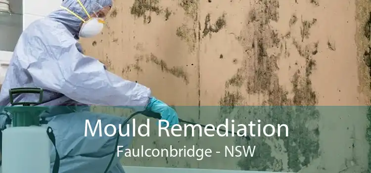 Mould Remediation Faulconbridge - NSW