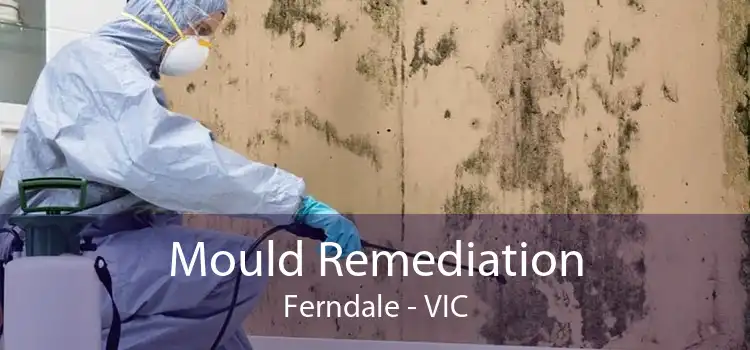 Mould Remediation Ferndale - VIC