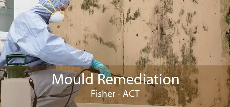 Mould Remediation Fisher - ACT