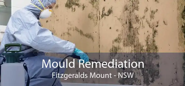 Mould Remediation Fitzgeralds Mount - NSW