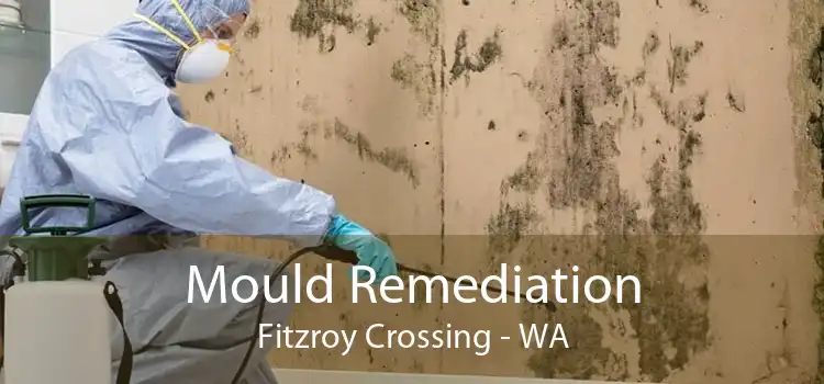 Mould Remediation Fitzroy Crossing - WA