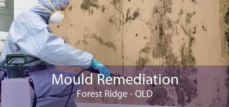 Mould Remediation Forest Ridge - QLD