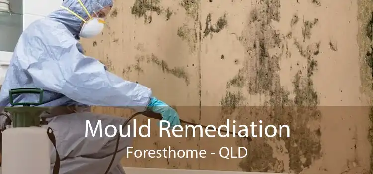 Mould Remediation Foresthome - QLD