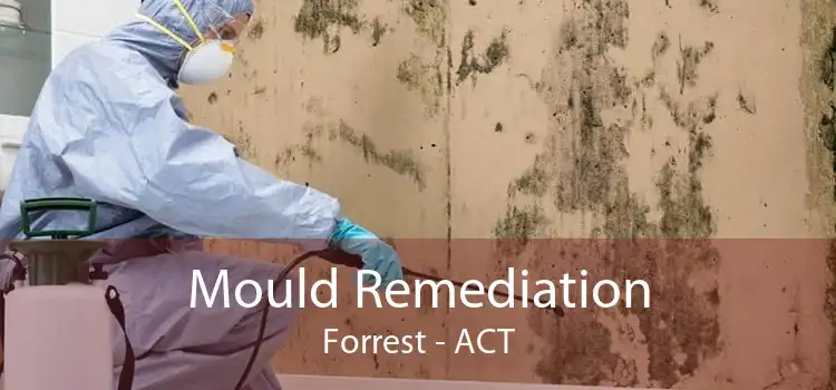 Mould Remediation Forrest - ACT
