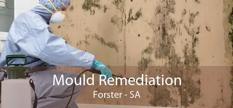 Mould Remediation Forster - SA