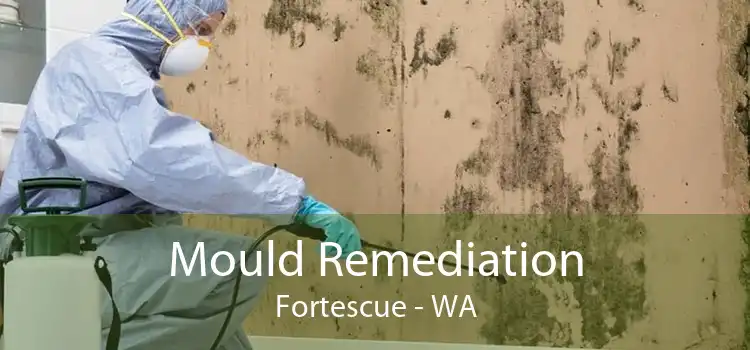 Mould Remediation Fortescue - WA