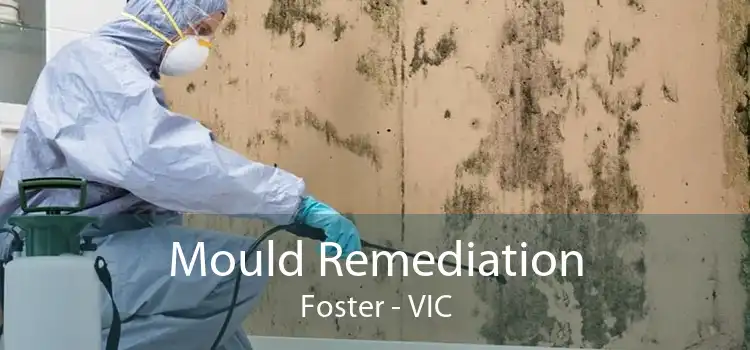 Mould Remediation Foster - VIC