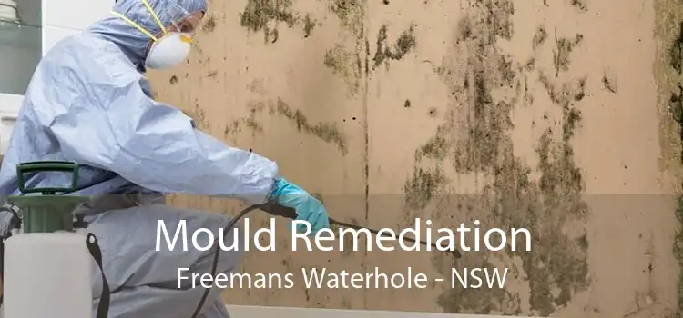 Mould Remediation Freemans Waterhole - NSW