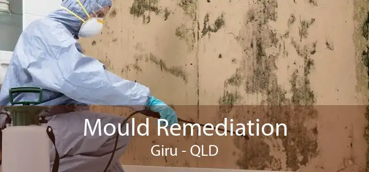 Mould Remediation Giru - QLD