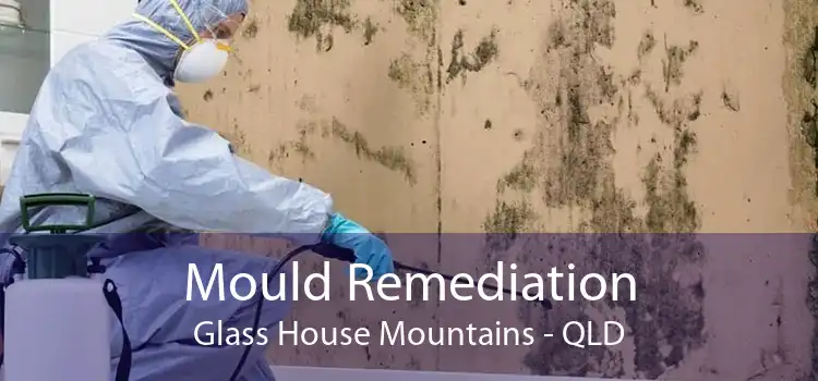 Mould Remediation Glass House Mountains - QLD