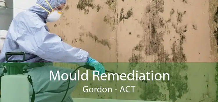 Mould Remediation Gordon - ACT