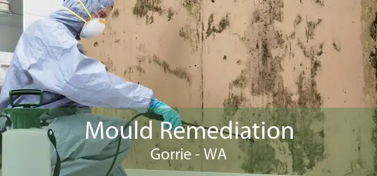 Mould Remediation Gorrie - WA
