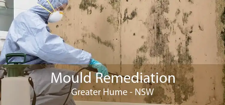 Mould Remediation Greater Hume - NSW