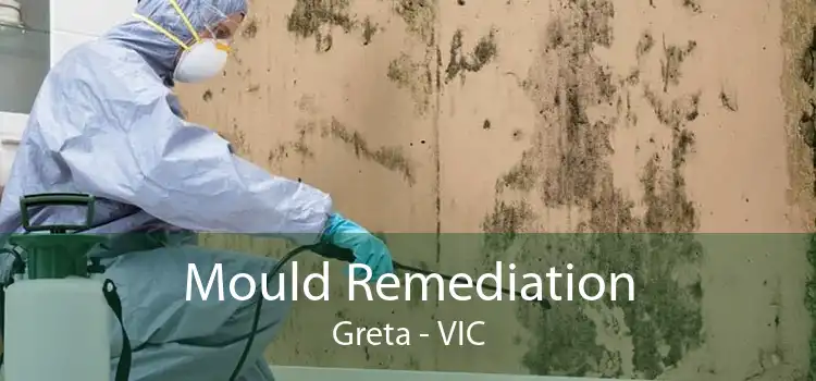 Mould Remediation Greta - VIC