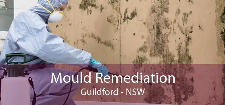 Mould Remediation Guildford - NSW