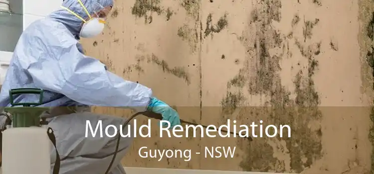Mould Remediation Guyong - NSW