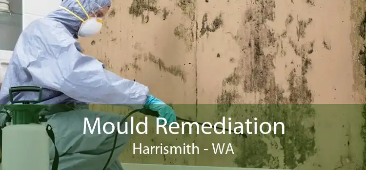 Mould Remediation Harrismith - WA