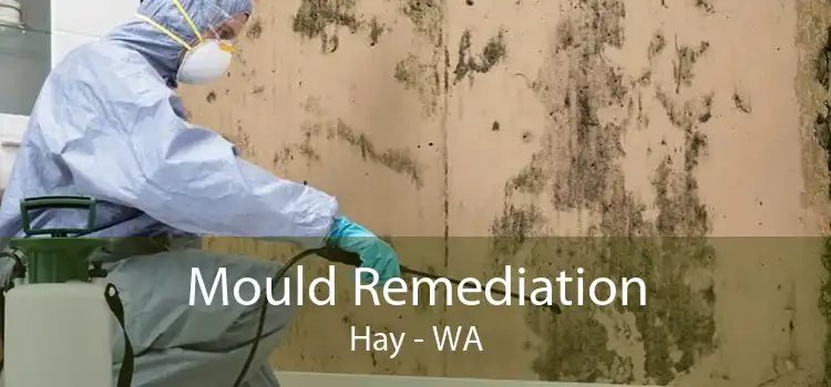 Mould Remediation Hay - WA