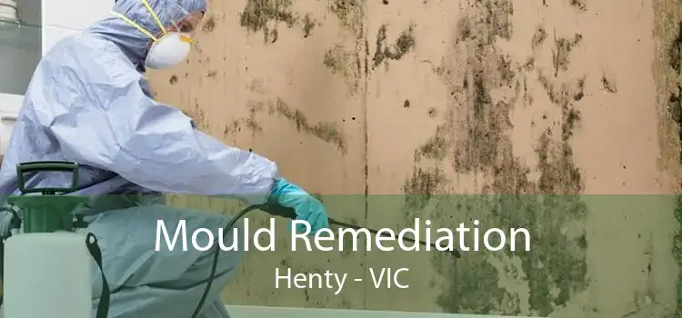 Mould Remediation Henty - VIC