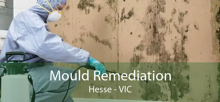 Mould Remediation Hesse - VIC