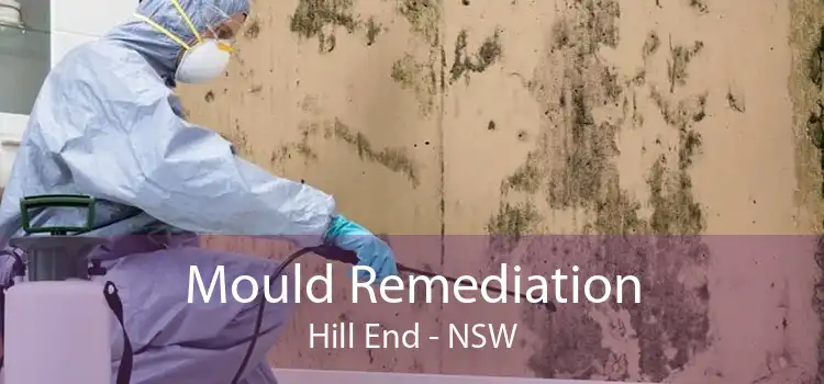 Mould Remediation Hill End - NSW