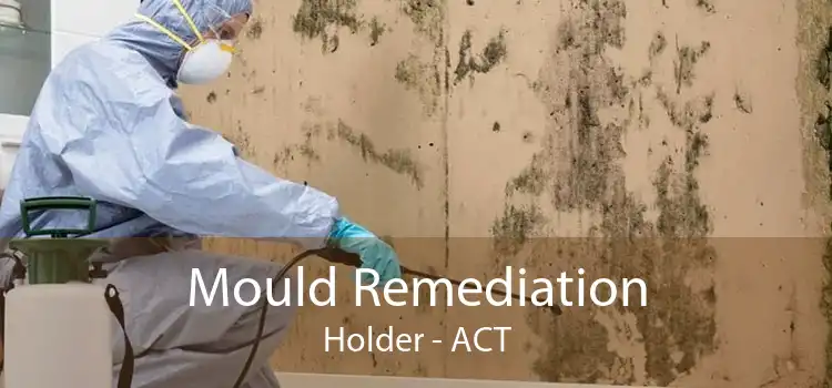 Mould Remediation Holder - ACT