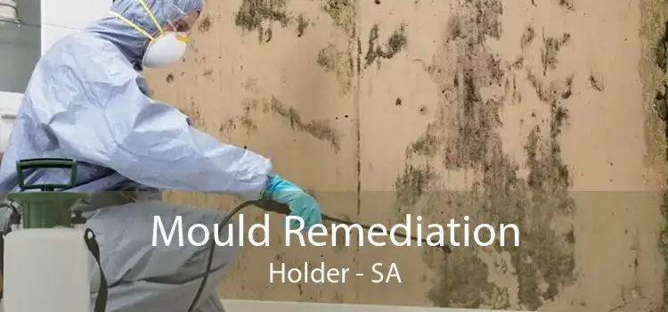 Mould Remediation Holder - SA