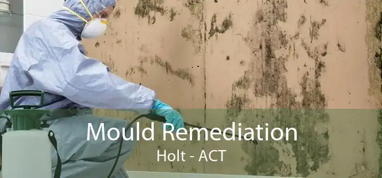 Mould Remediation Holt - ACT