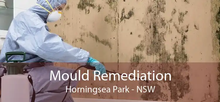 Mould Remediation Horningsea Park - NSW
