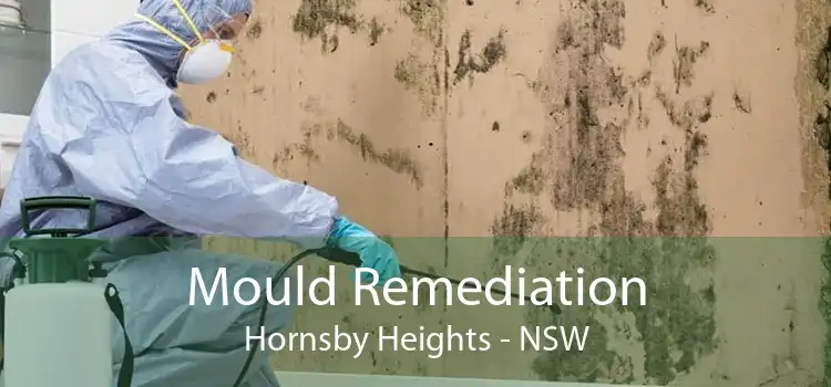 Mould Remediation Hornsby Heights - NSW
