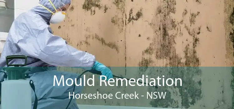 Mould Remediation Horseshoe Creek - NSW