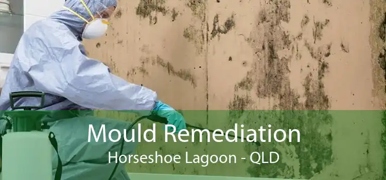 Mould Remediation Horseshoe Lagoon - QLD